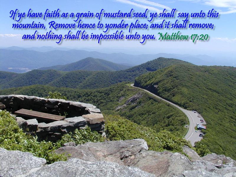 Matthew 17:20