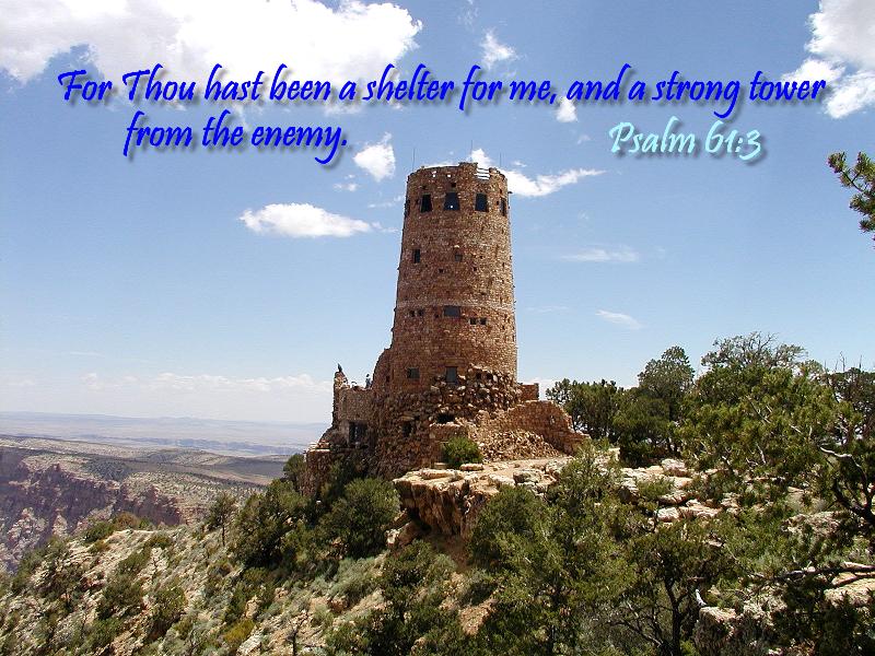 Psalm 61:3