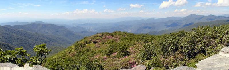 Panorama View 4