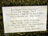 I'm nobody! Who are you? by Emily Dickinson