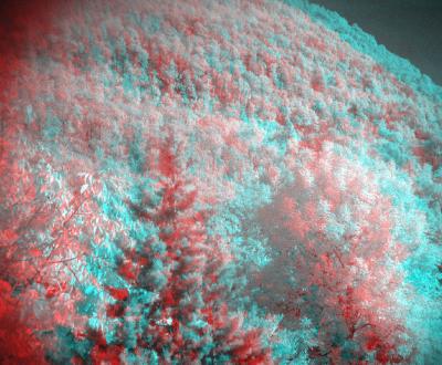 Near infrared stereoscopic