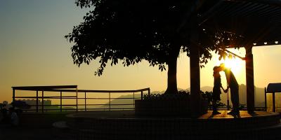 DSC_2009s.jpg