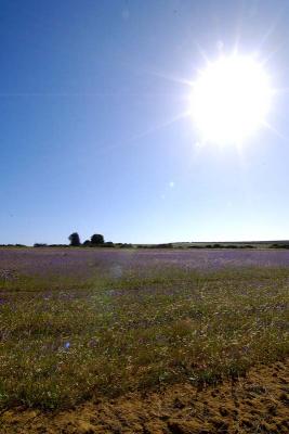 v3/85/353885/3/50154542.DSC_3616s.jpg