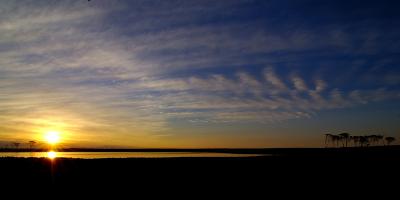DSC_3775s.jpg
