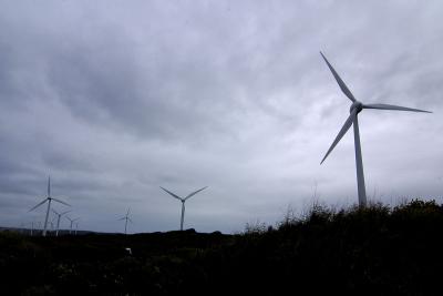 Albany Wind Farm