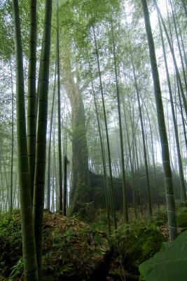 DSC_4515s.jpg