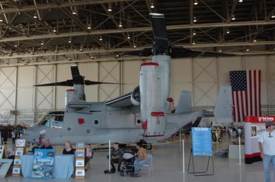 O is for Osprey