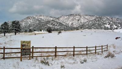 Spring Snow-Fencescape