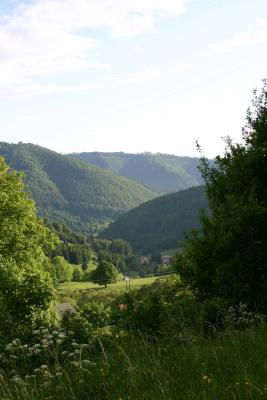 Slovakian Hillside
