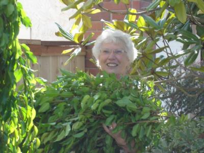 Judy in the Bushes