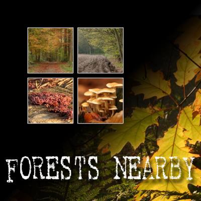 FORESTS NEARBY