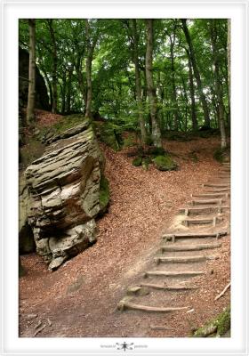 MULLERTHAL  0015.jpg