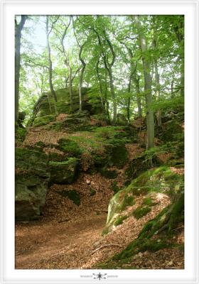 MULLERTHAL  0018.jpg