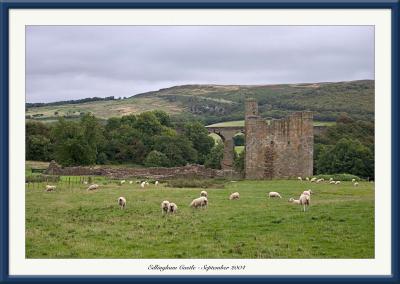 Edlingham Castle