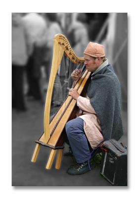 Viking Harpist