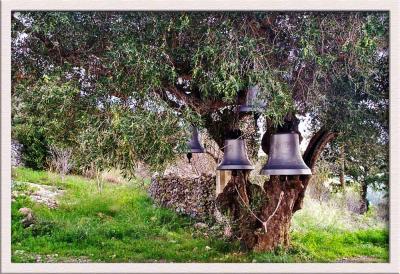v3/85/568685/3/46079848.Bells.jpg