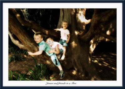 James & Friends in a Tree