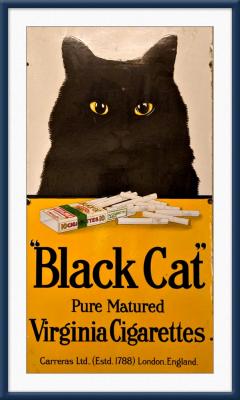 v3/85/568685/3/49655639.BlackCat.jpg