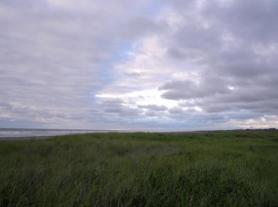 v3/85/574785/3/46256152.AWeeBitofBlueSky.jpg