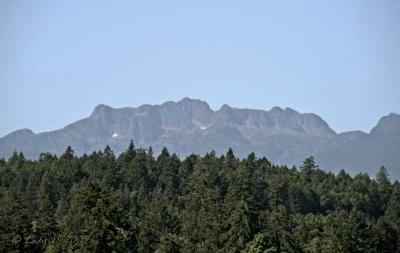 Mt Arrowsmith 01.jpg