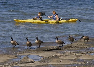 Craig Bay at Pacific Shores