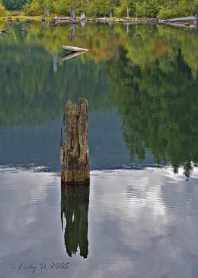 Westwood lake reflections
