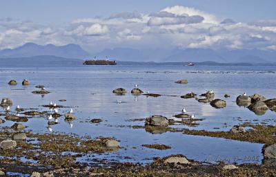 Campbell River Beach