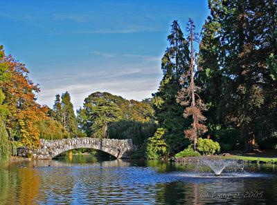 Beacon Hill Park 01.jpg