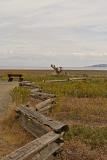 Rathtrevor Beach 