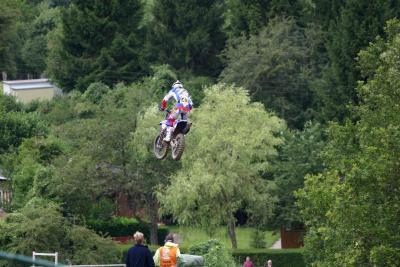 Everts fly