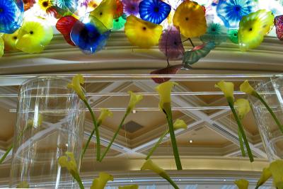 v3/86/100786/3/50726781.Bellagio1467w.jpg