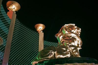 v3/86/100786/3/50726796.MGMLion1584w.jpg