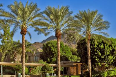 MountainView2692w.jpg