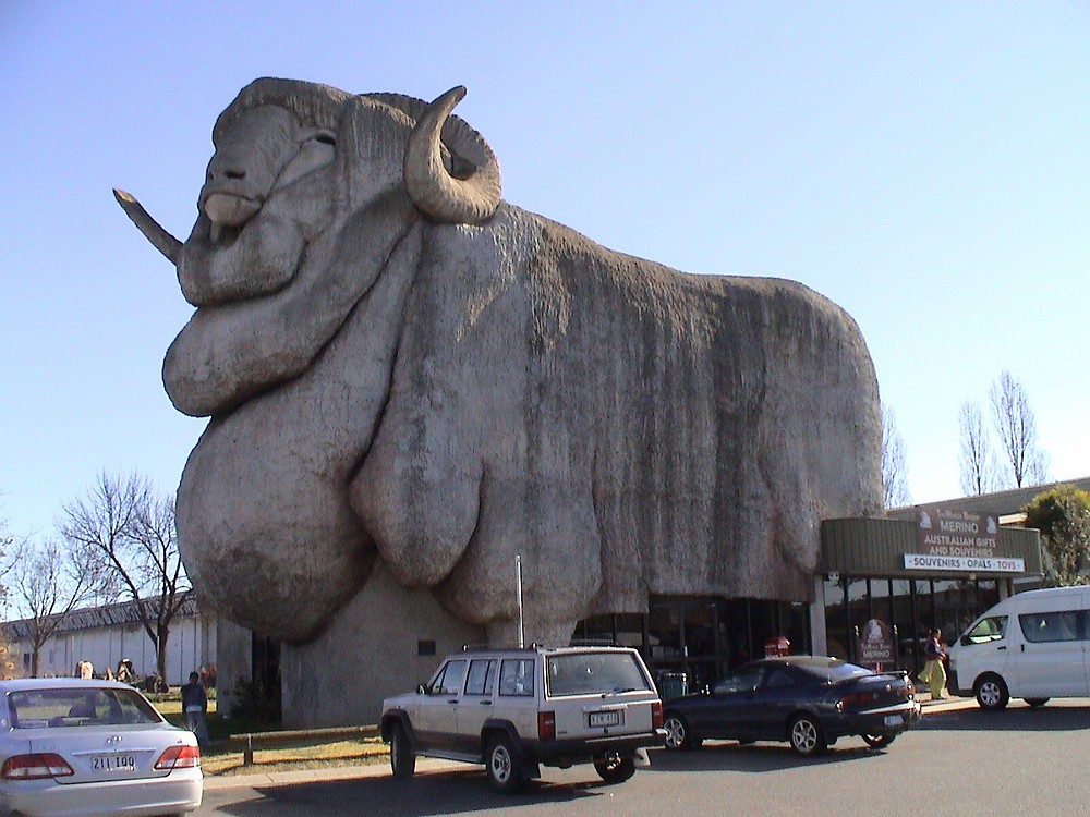 Big_Merino