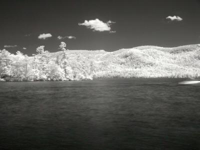 IR2275.jpg