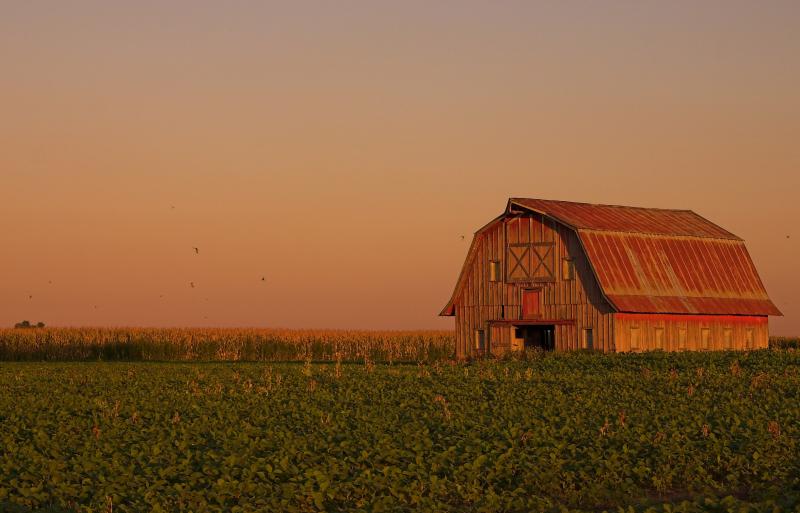 Barn near Hartsburg.jpg
