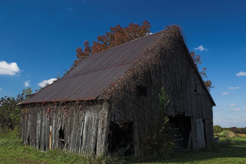 Barn.jpg