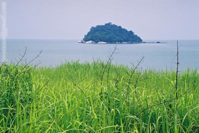 Pulau Betong