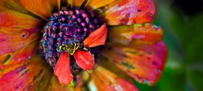 IMG_8432.jpg
