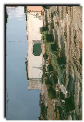 reflections_8446
