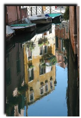 reflections_8491