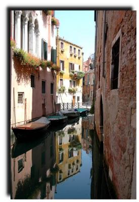 reflections_8493