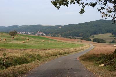 walking trail between weilerbach and eulingen germany.jpg