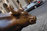 wall street bull.jpg