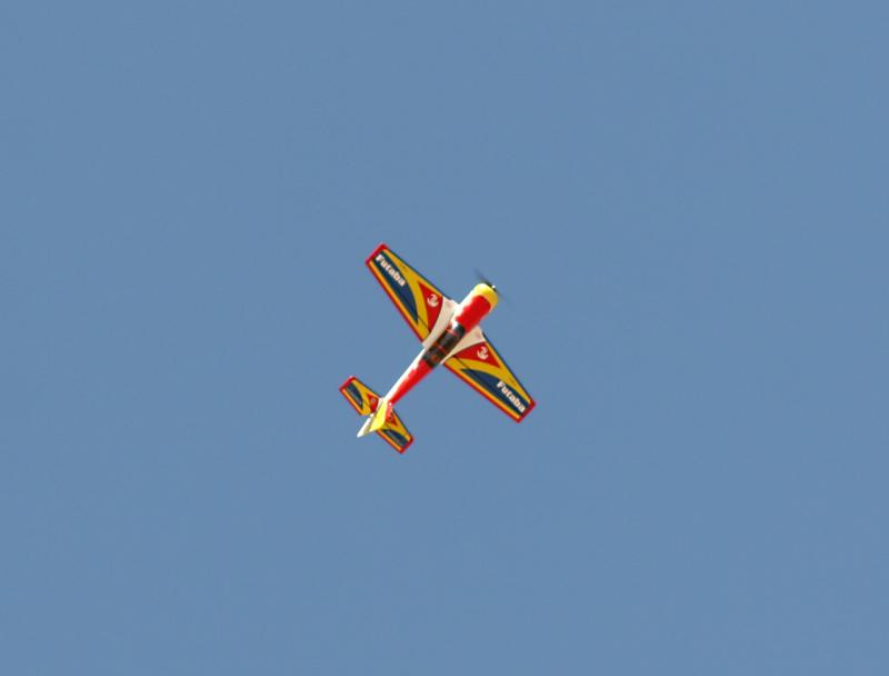 IMG_1819a.jpg