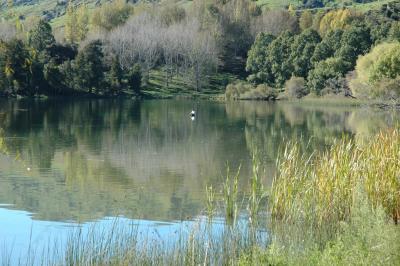 Lake Tutira DSC085.jpg