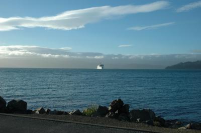 The Aruhira arriving Wellington DSC090.jpg