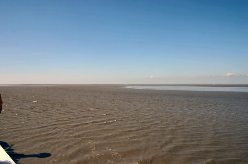 Murky and shallow waters.
