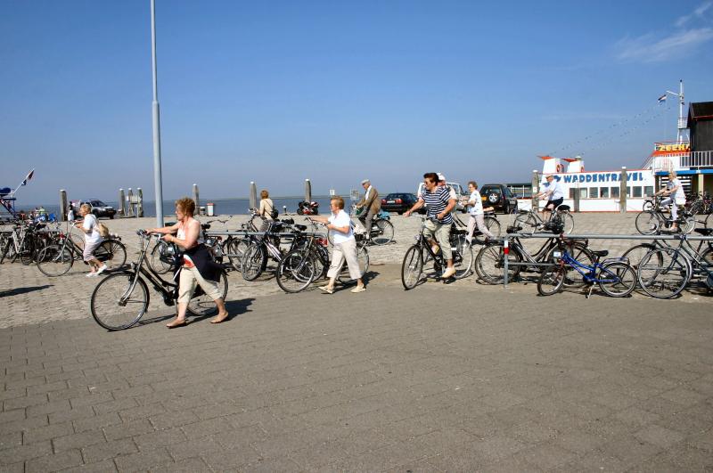 Tourist on Bikes.