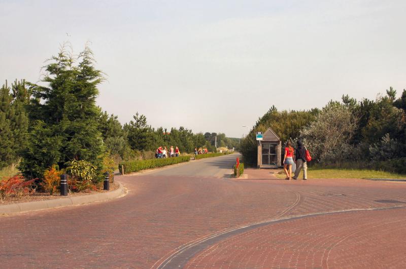Road to the Beach.